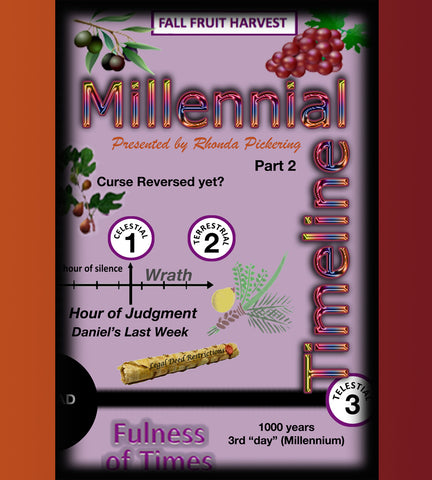 DVD - 2nd: Millennial Timeline (Part 2 of Backstory) 2 discs; 2019