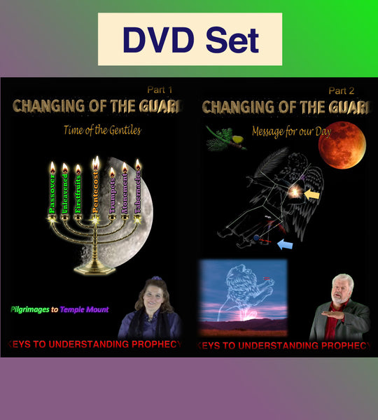 DVD (SET) Changing of the Guard Parts 1 & 2; 2015