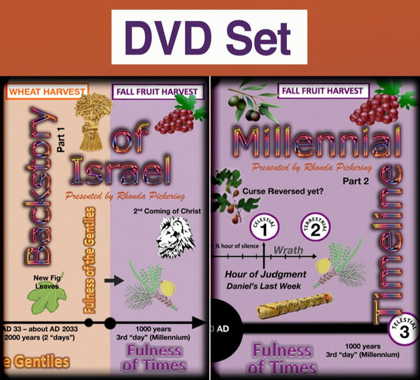 DVD (SET) Backstory & Millennial Timeline—3 Discs  2019